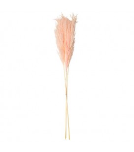 3 Pink Pampa Branches 80cm
