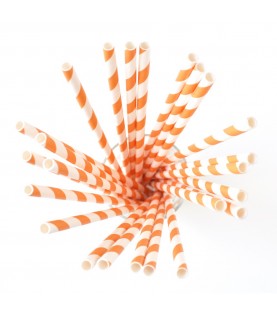 24 Orange Striped Paper Straws