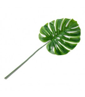 1 Tropical Leaf