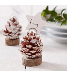 Pinecone Place Cards